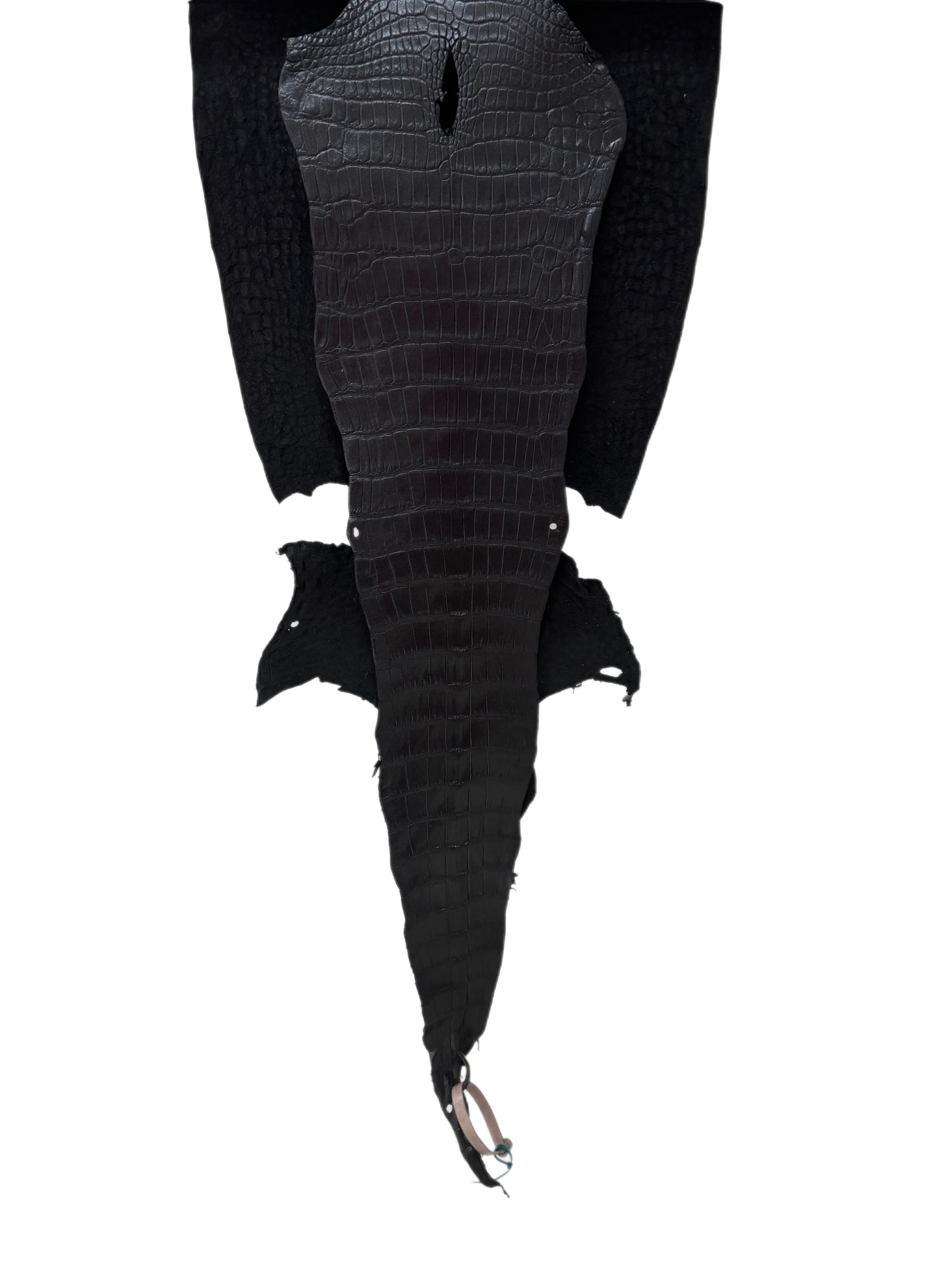 31 cm Grade 2/3 Metallic Black Shimmer Matte Wild American Alligator Leather - Tag: LA18-0037370