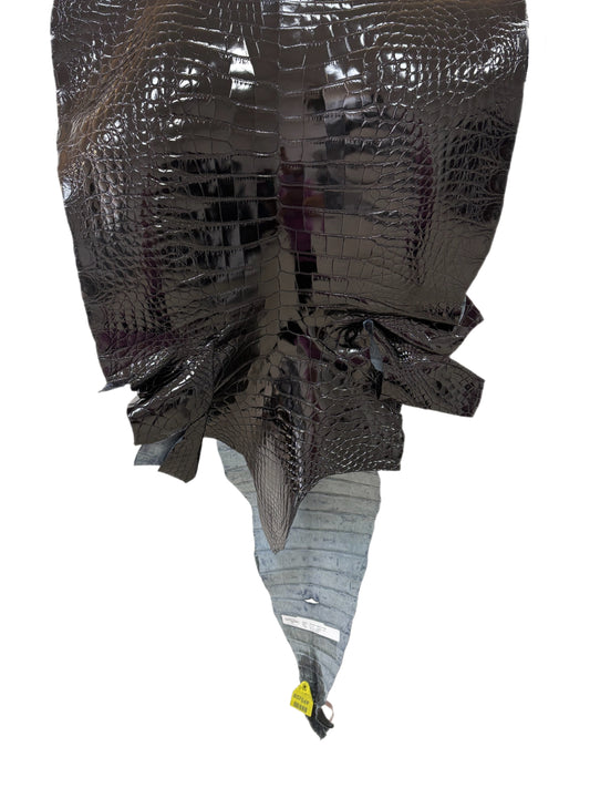 47 cm Grade 2/3 Black Glazed Farm-Raised American Alligator Leather - Tag: FL14-0004004