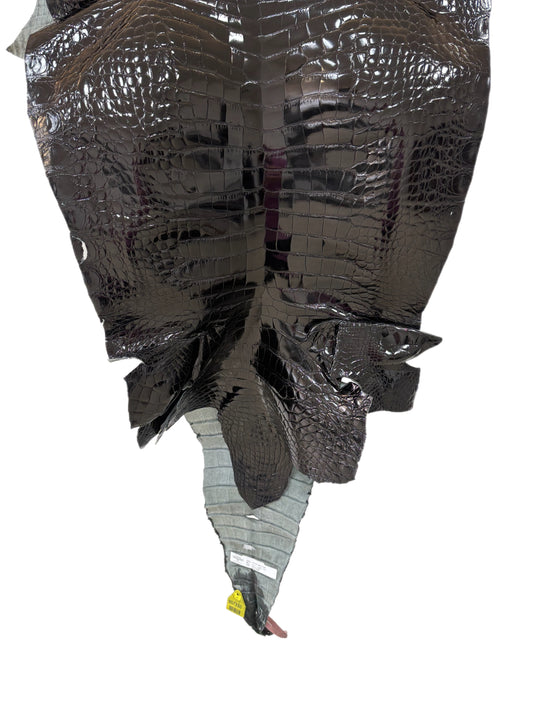 49 cm Grade 2/3 Black Glazed Farm-Raised American Alligator Leather - Tag: FL14-0004030