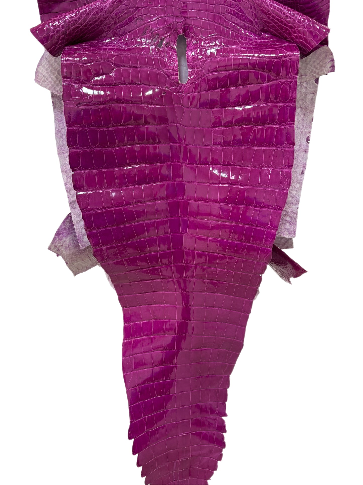 51 cm Grade 1/2 Magenta Glazed Farm-Raised American Alligator Leather - Tag: GA13-0024538
