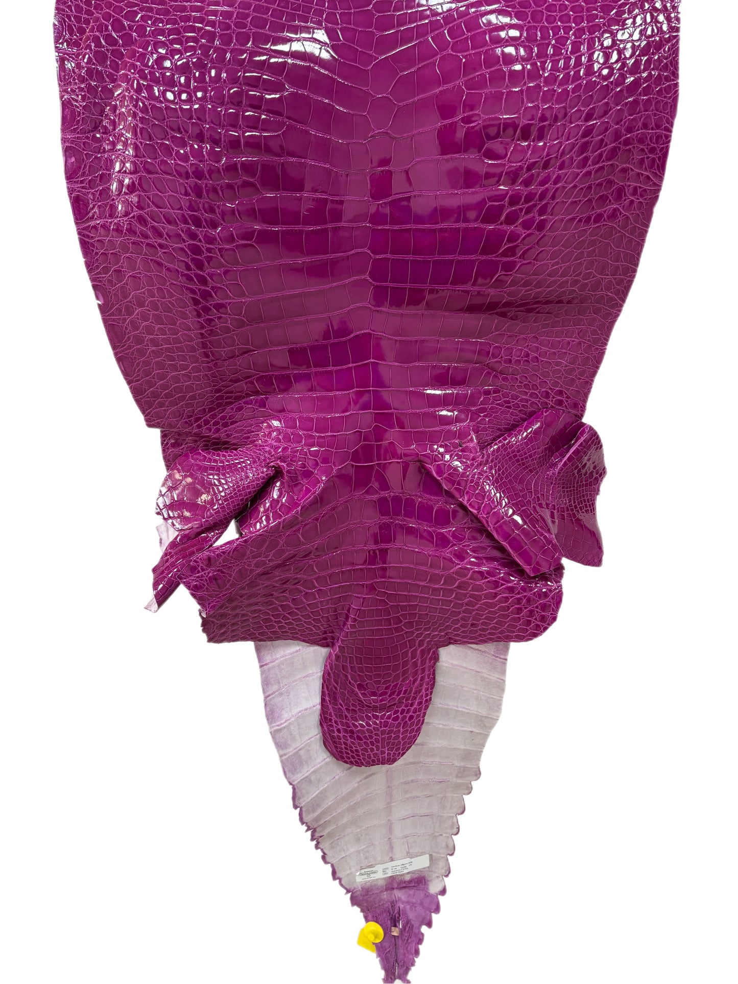 51 cm Grade 1/2 Magenta Glazed Farm-Raised American Alligator Leather - Tag: GA13-0024538
