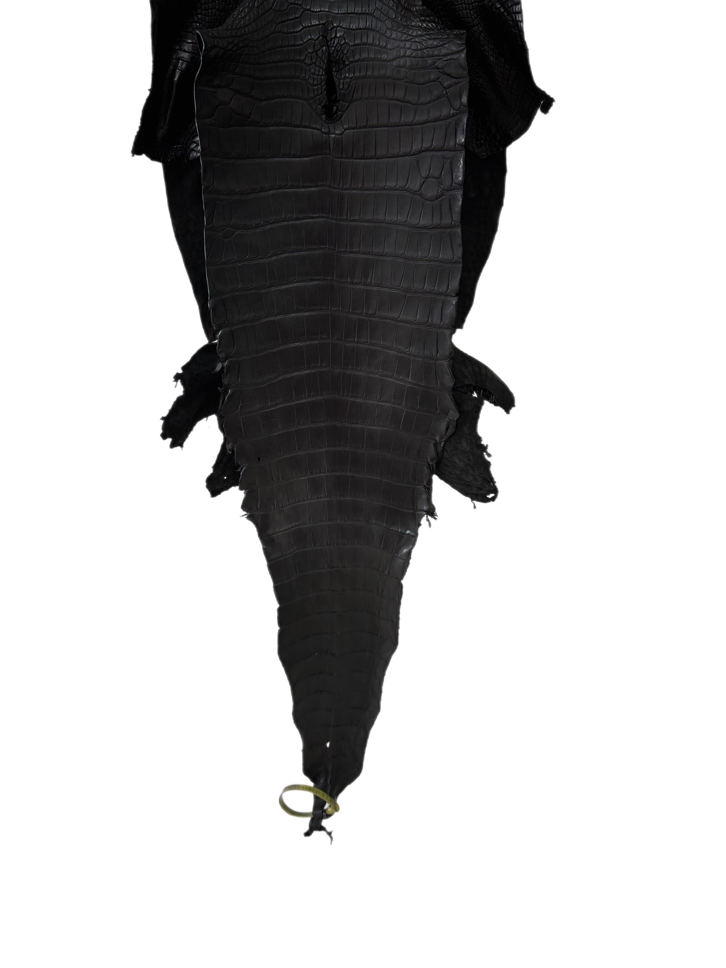 34 cm Grade 2/3 Black Matte Farm-Raised American Alligator Leather - Tag: LA25-0316170