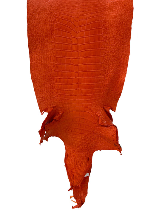 43 cm Grade 2/3 Orange Matte Wild American Alligator Leather - Tag: LA23-0023250