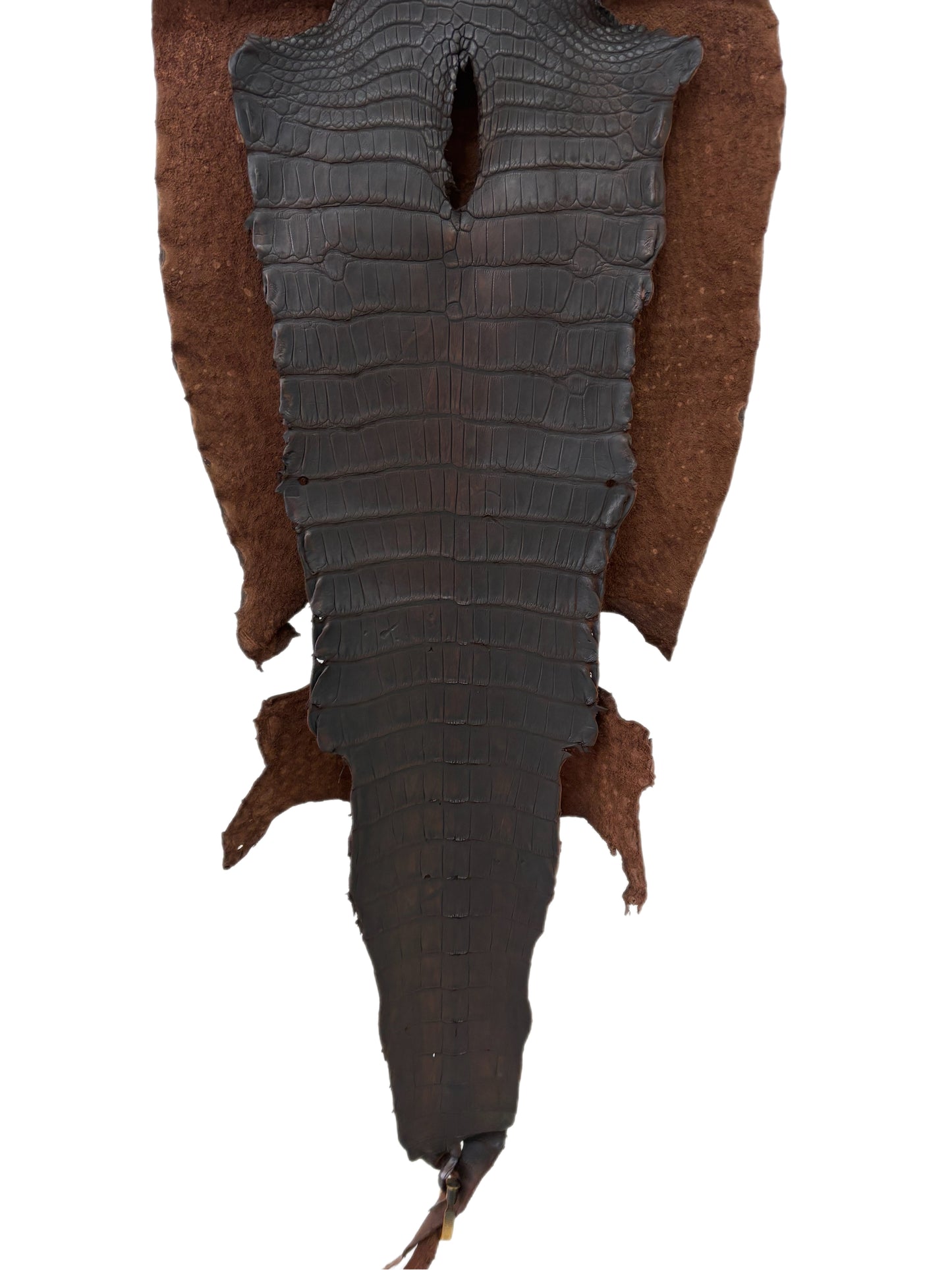 42 cm Grade 3/4 Dark Whiskey Antique Matte Wild American Alligator Leather - Tag: LA23-0005912