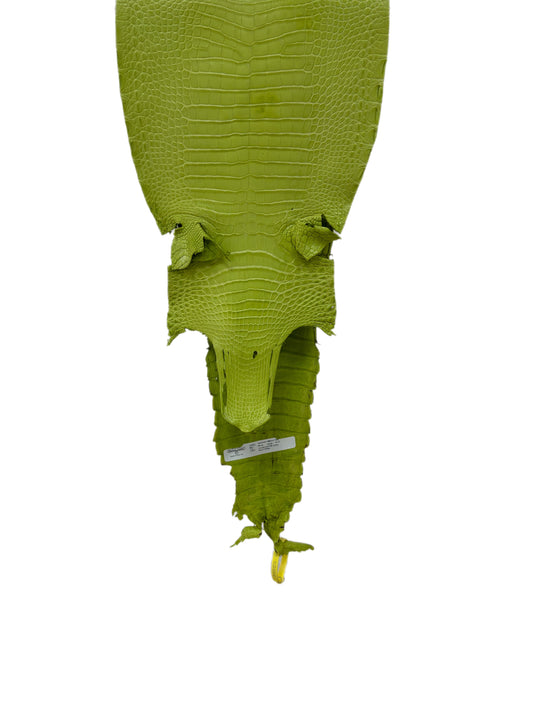 28 cm Grade 3/4 Chartreuse Matte Farm-Raised American Alligator Leather - Tag: FL22-0030146