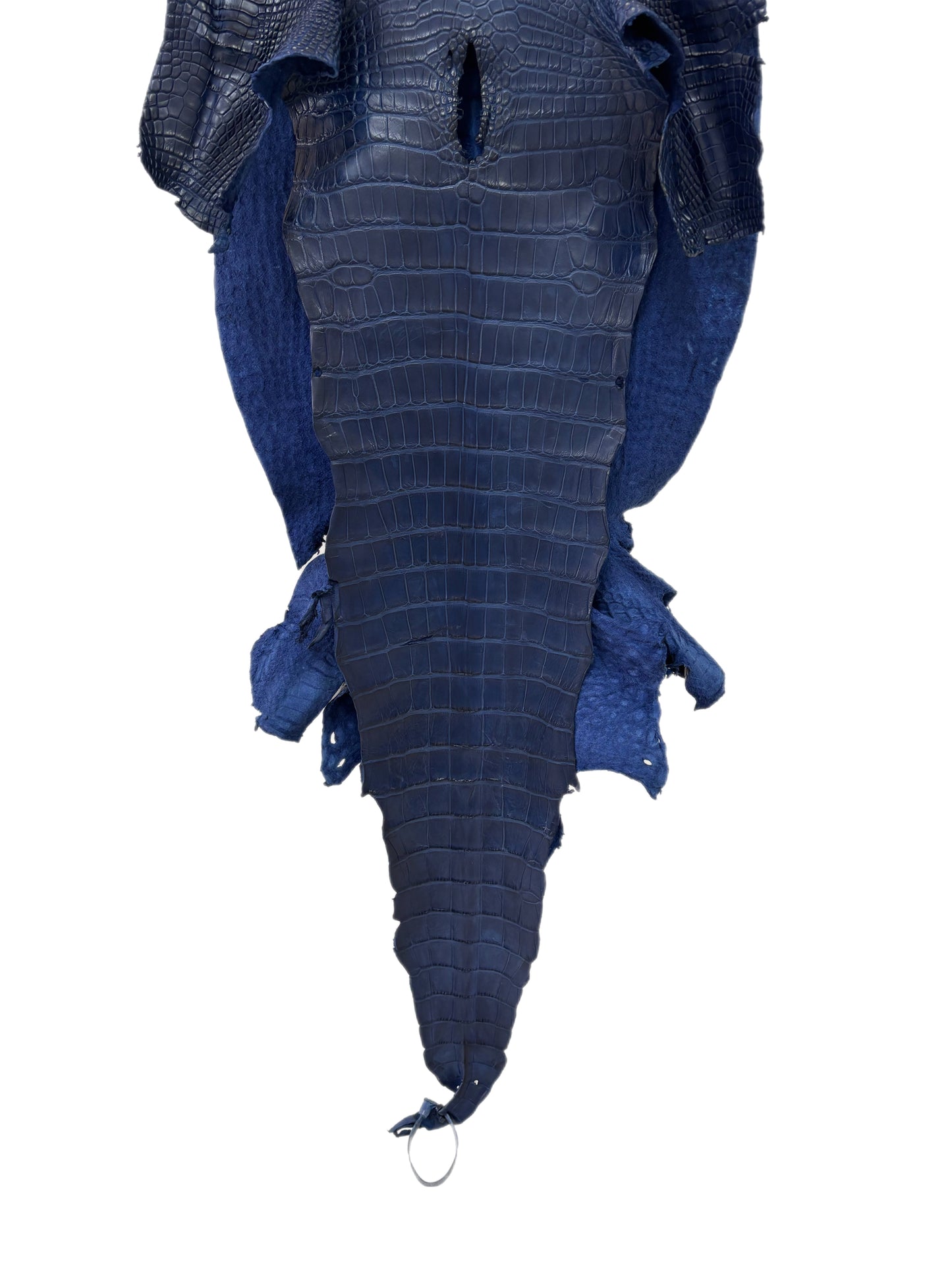 43 cm Grade 2/3 Admiral Blue Matte Wild American Alligator Leather - Tag: LA23-0003727