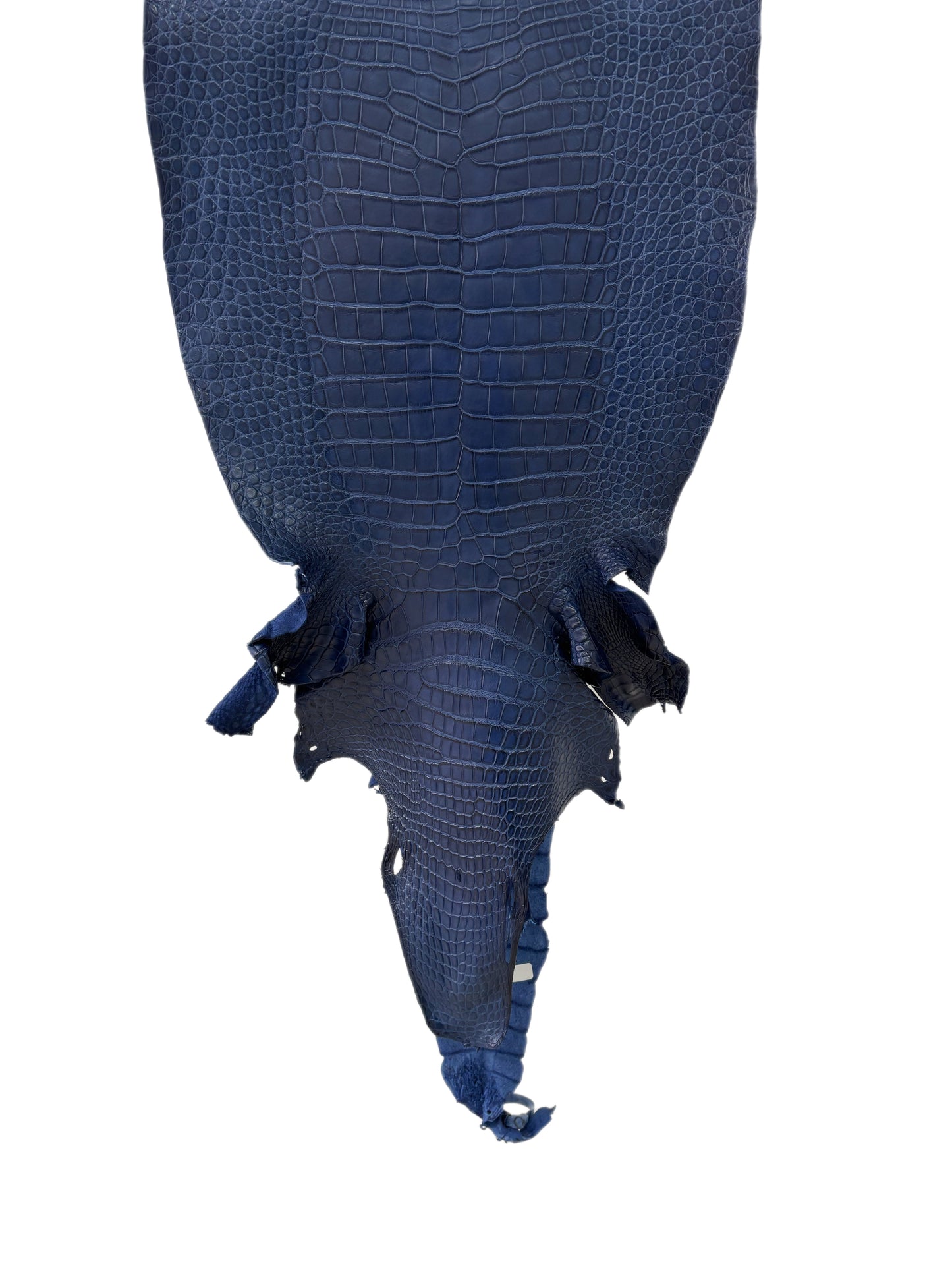 43 cm Grade 2/3 Admiral Blue Matte Wild American Alligator Leather - Tag: LA23-0003727