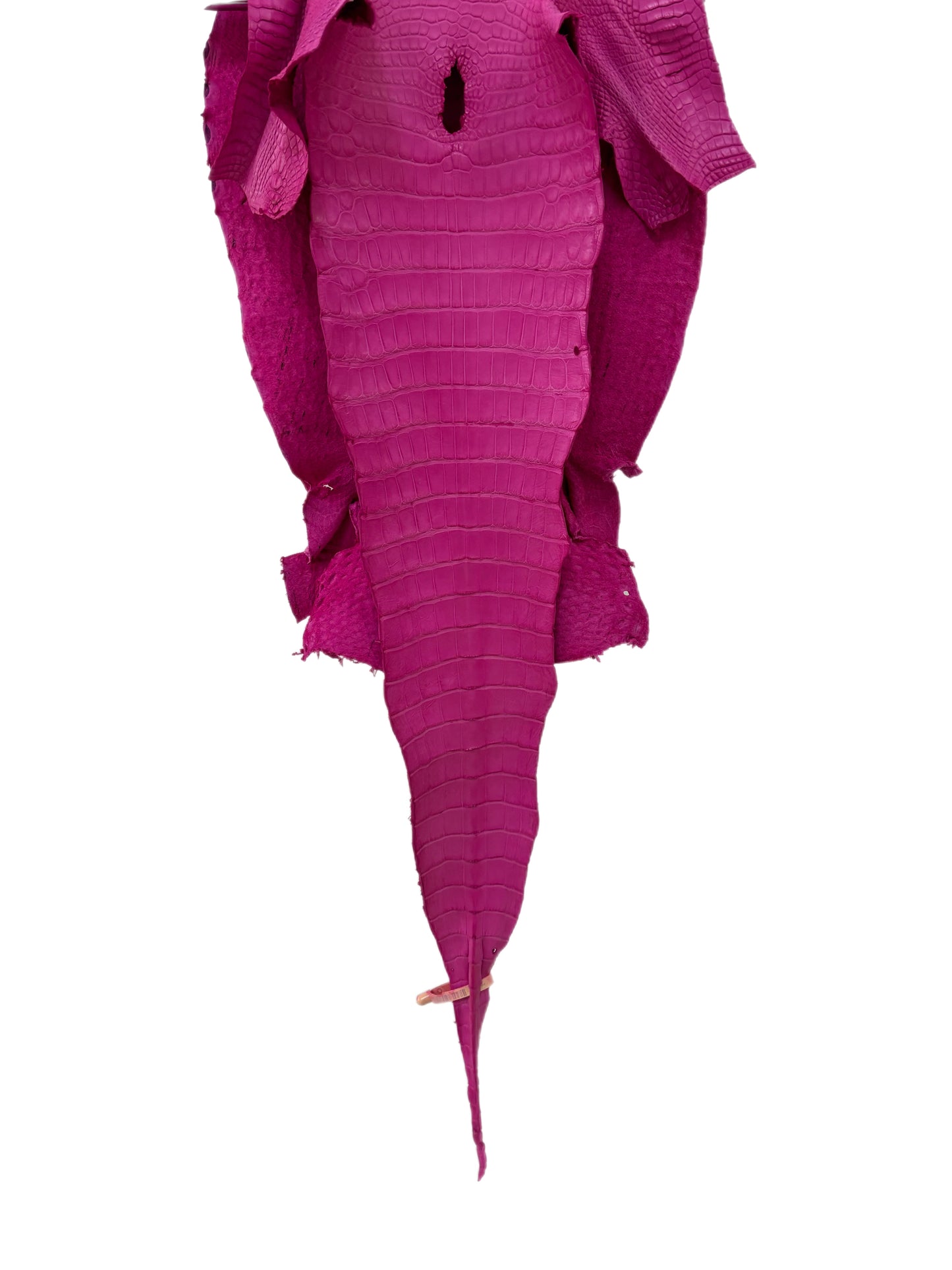 36 cm Grade 1/2 Rosa Matte Wild American Alligator Leather - Tag: LA16-0036755