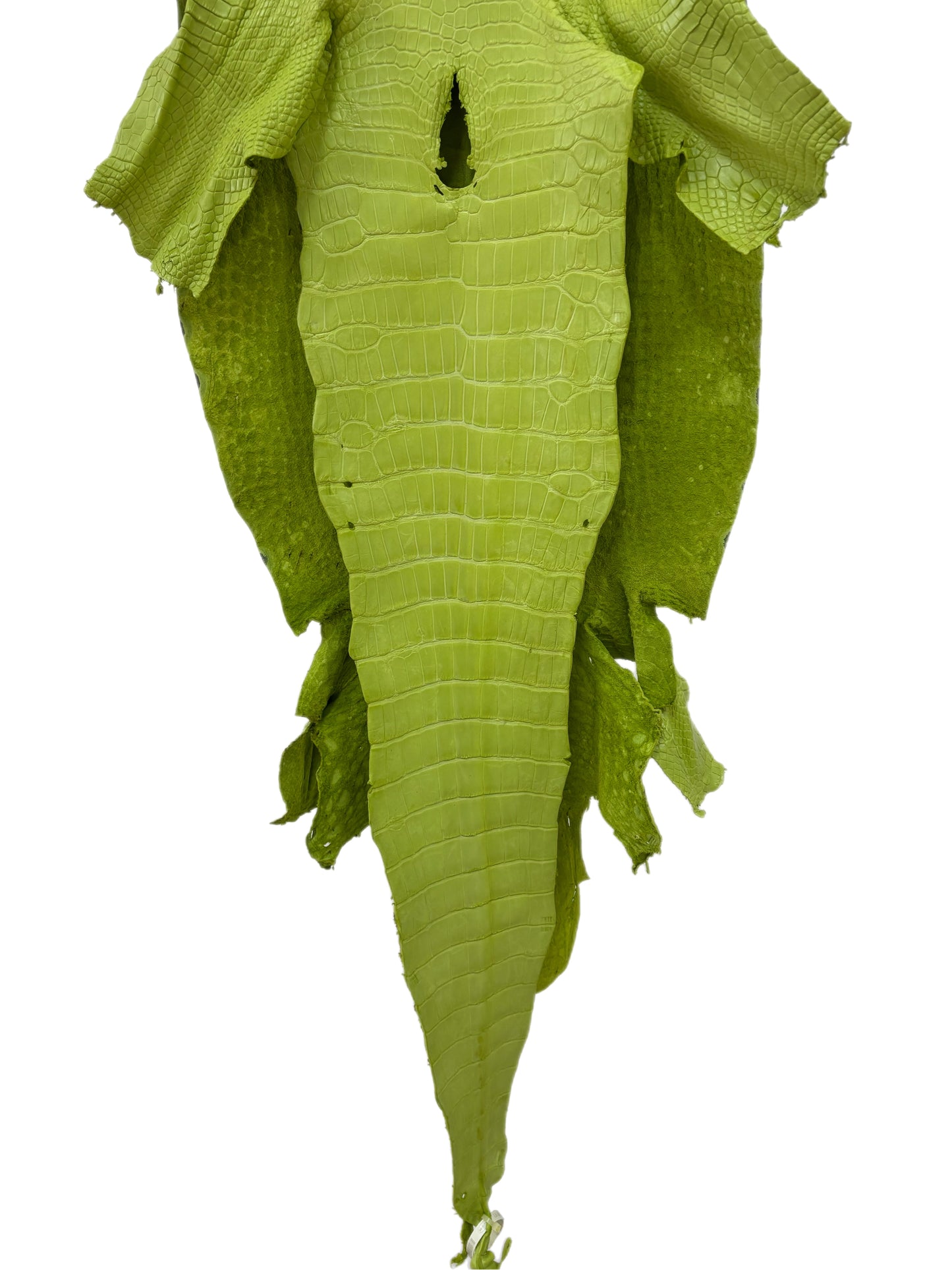 44 cm Grade 3/4 Chartreuse Matte Wild American Alligator Leather - Tag: LA23-0022112