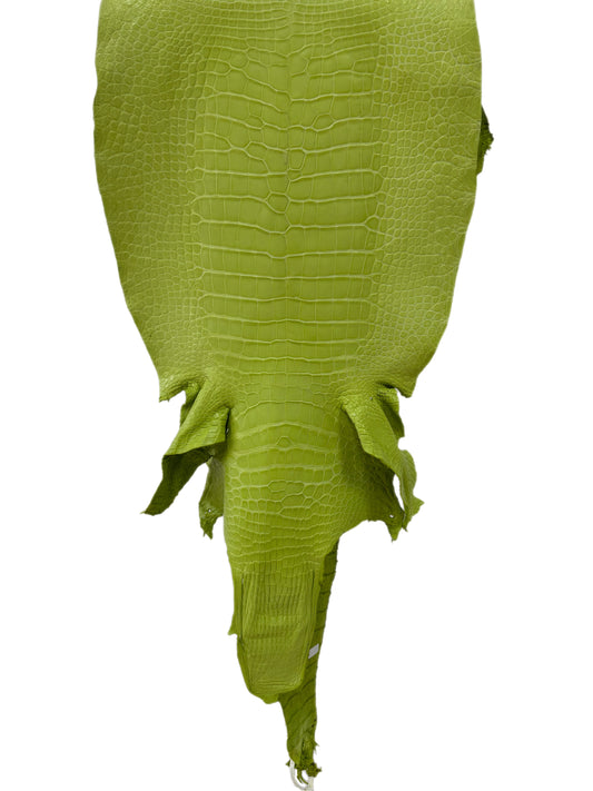 44 cm Grade 3/4 Chartreuse Matte Wild American Alligator Leather - Tag: LA23-0022112