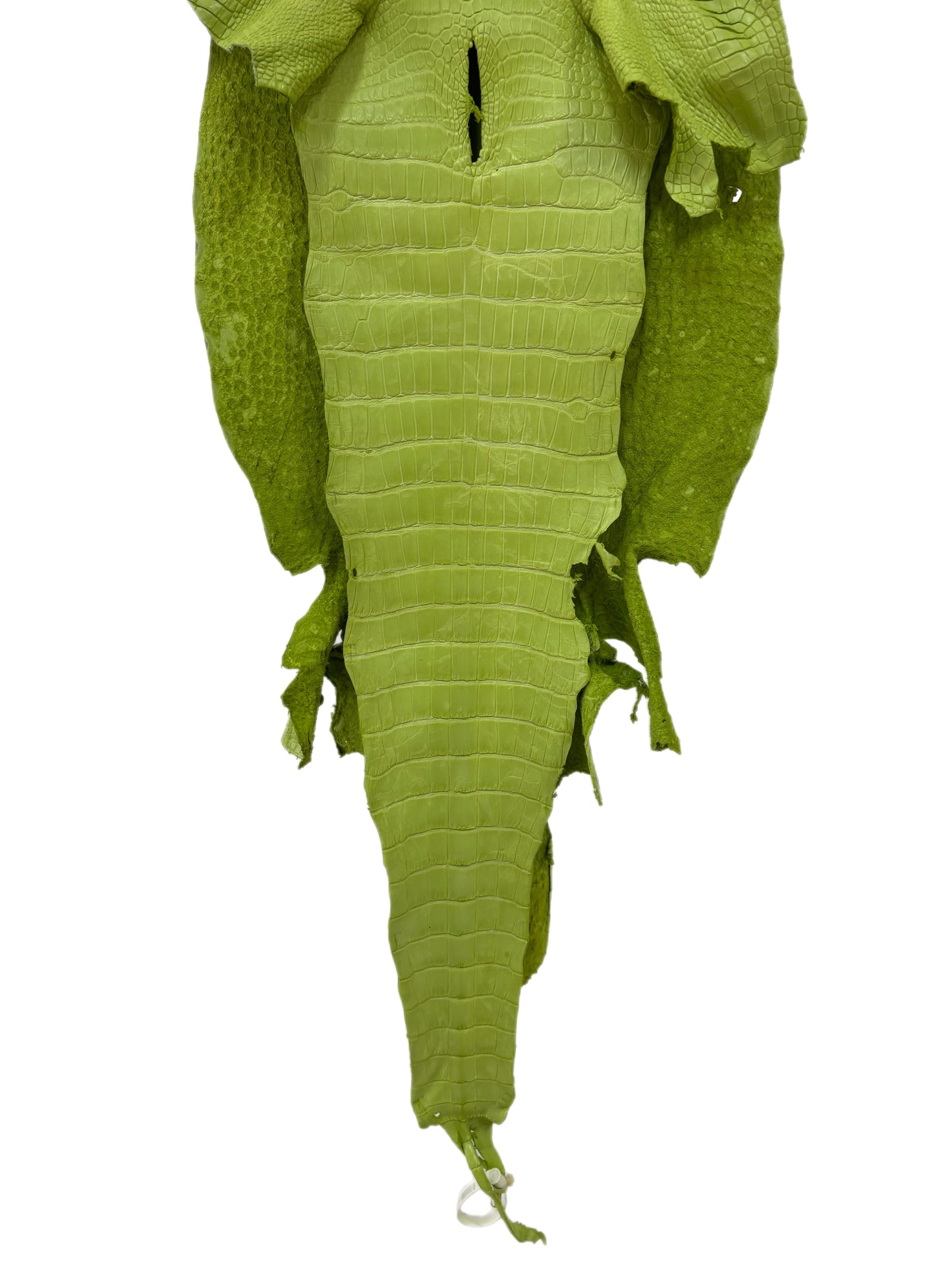 41 cm Grade 4/5 Chartreuse Matte Wild American Alligator Leather - Tag: LA23-0003824