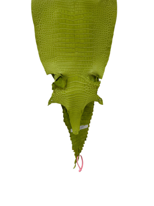31 cm Grade 1/2 Chartreuse Matte Farm-Raised American Alligator Leather - Tag: FL21-0025104