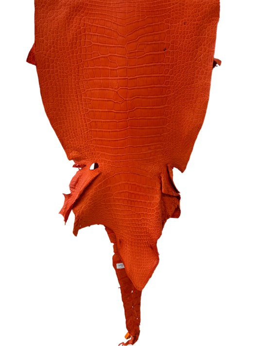 43 cm Grade 4/5 Orange Primavera Matte Wild American Alligator Leather - Tag: LA23-0003695