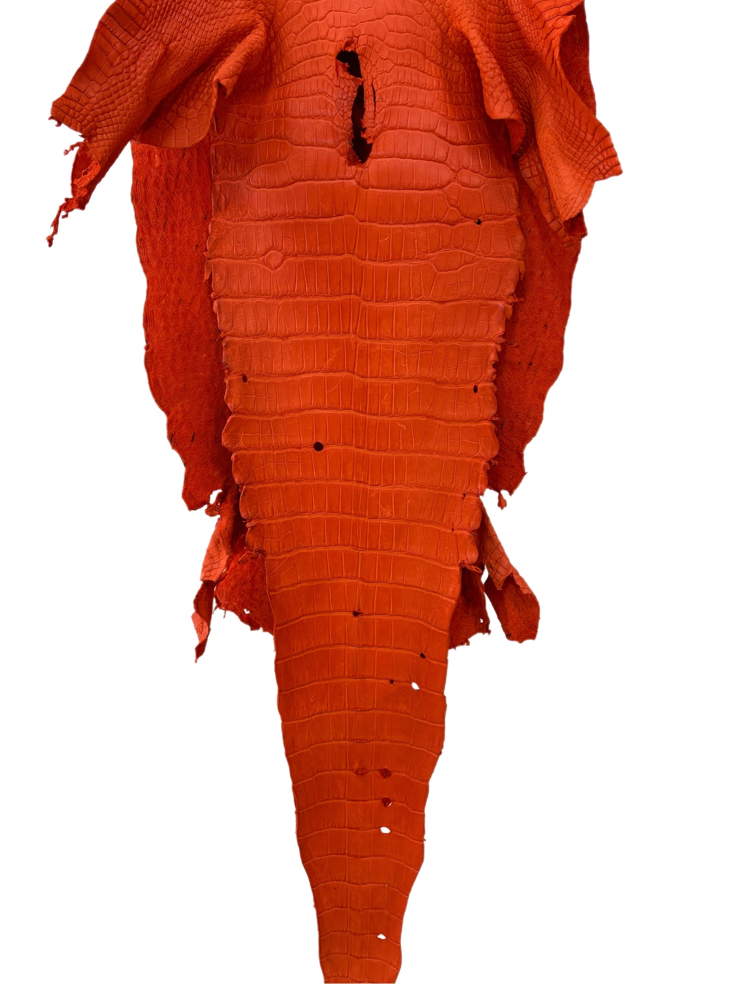 40 cm Grade 2/3 Orange Primavera Matte Wild American Alligator Leather - Tag: LA23-0001303
