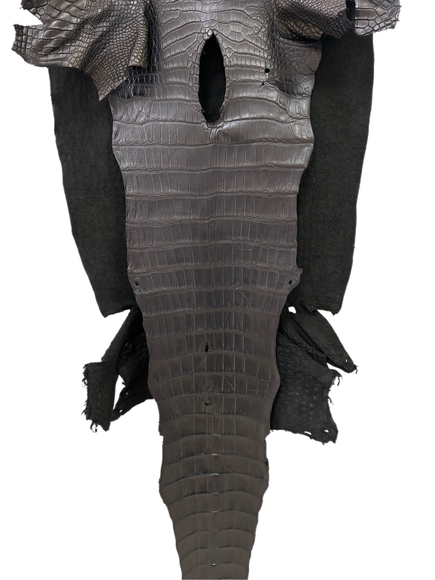 49 cm Grade 2/3 Black Matte Wild American Alligator Leather - Tag: LA23-0016568