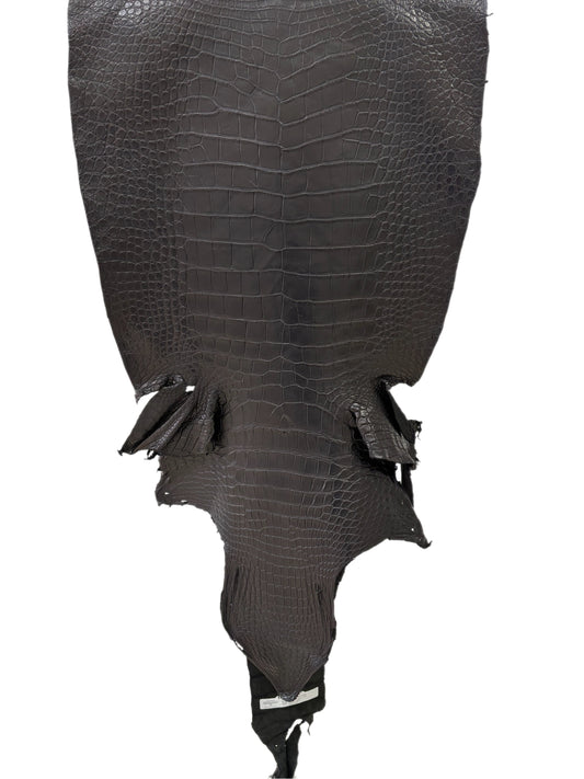 49 cm Grade 2/3 Black Matte Wild American Alligator Leather - Tag: LA23-0016568