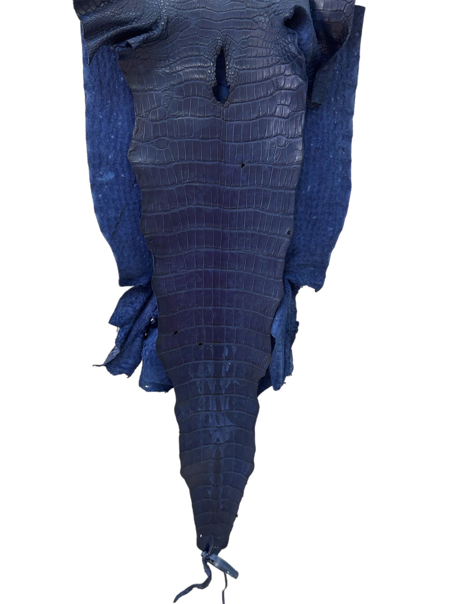 39 cm Grade 4/5 Admiral Blue Matte Wild American Alligator Leather - Tag: LA23-0014526