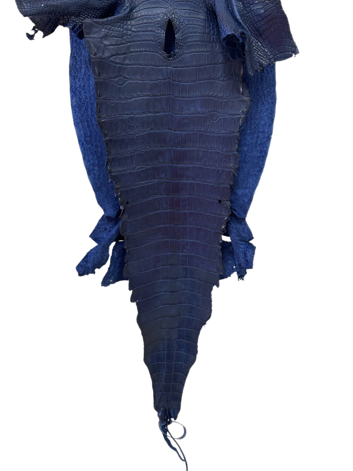 38 cm Grade 3/4 Admiral Blue Matte Wild American Alligator Leather - Tag: LA23-0007238