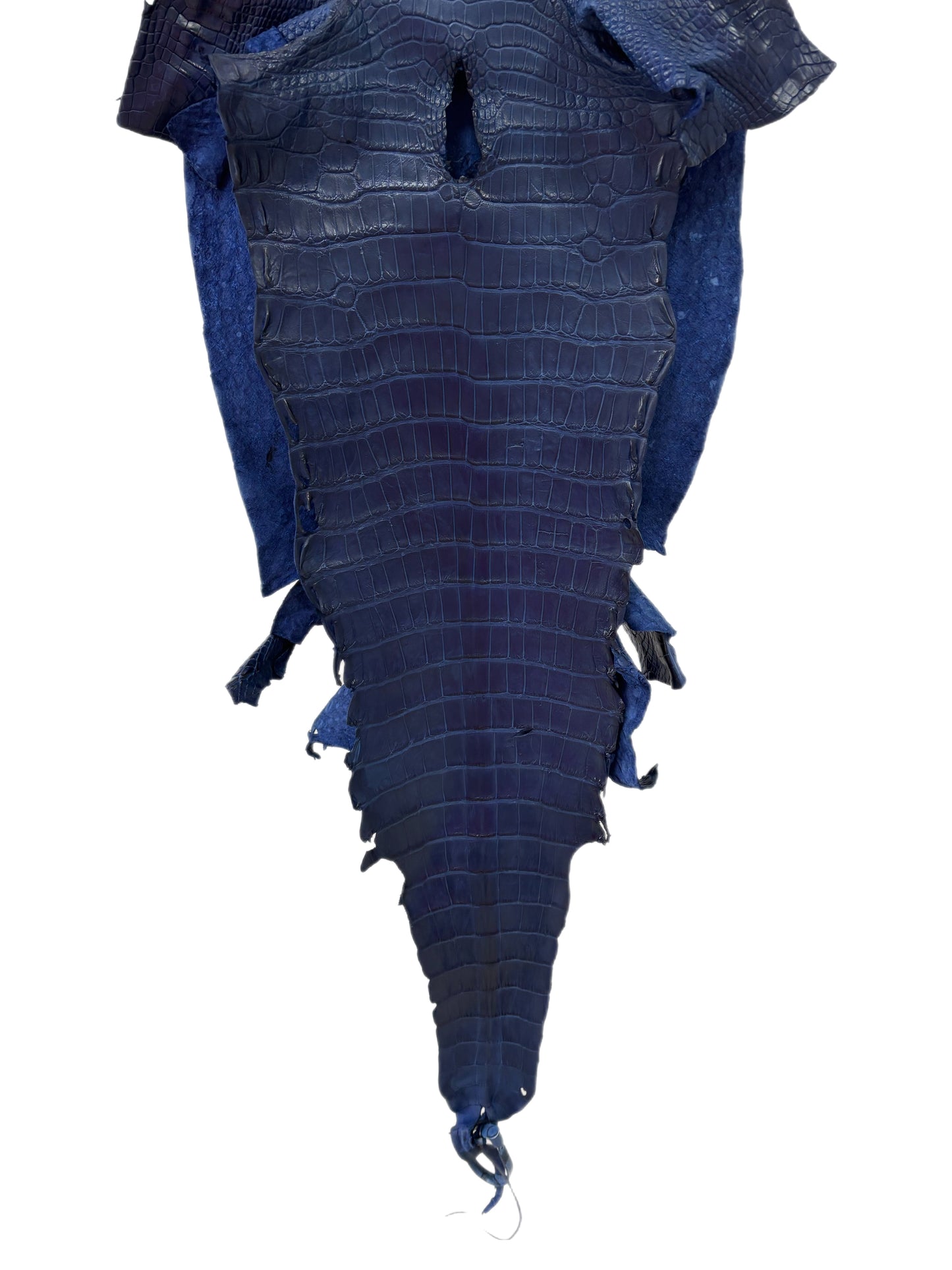 37 cm Grade 3/4 Admiral Blue Matte Wild American Alligator Leather - Tag: LA23-0007214