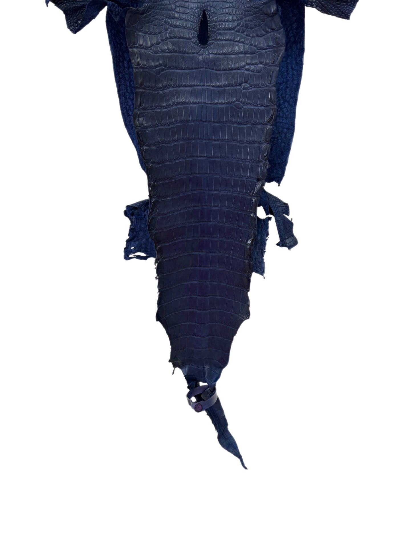 23 cm Grade 2/3 Admiral Blue Matte Farm-Raised American Alligator Leather - Tag: LA24-0228939