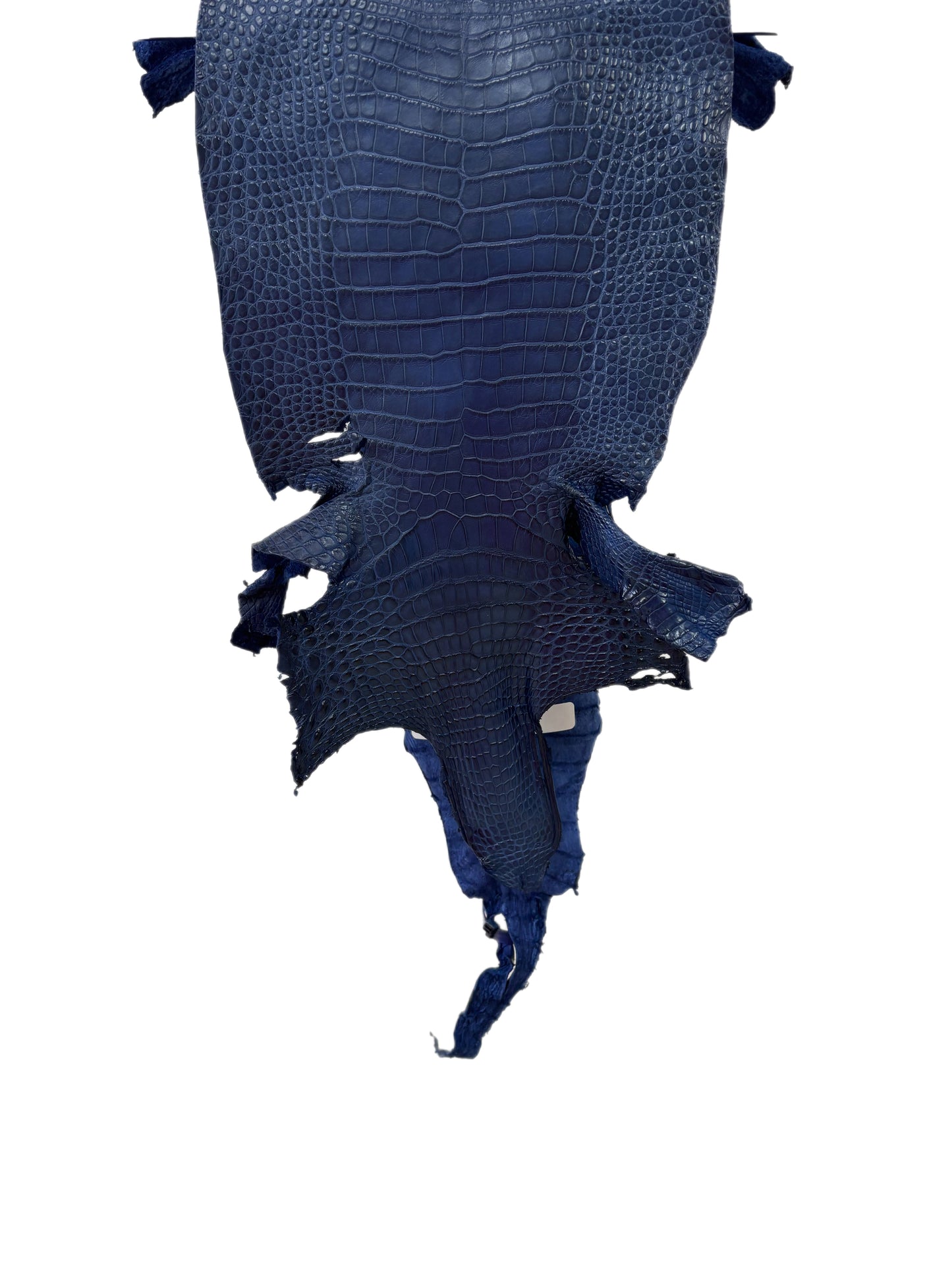 23 cm Grade 2/3 Admiral Blue Matte Farm-Raised American Alligator Leather - Tag: LA24-0228939