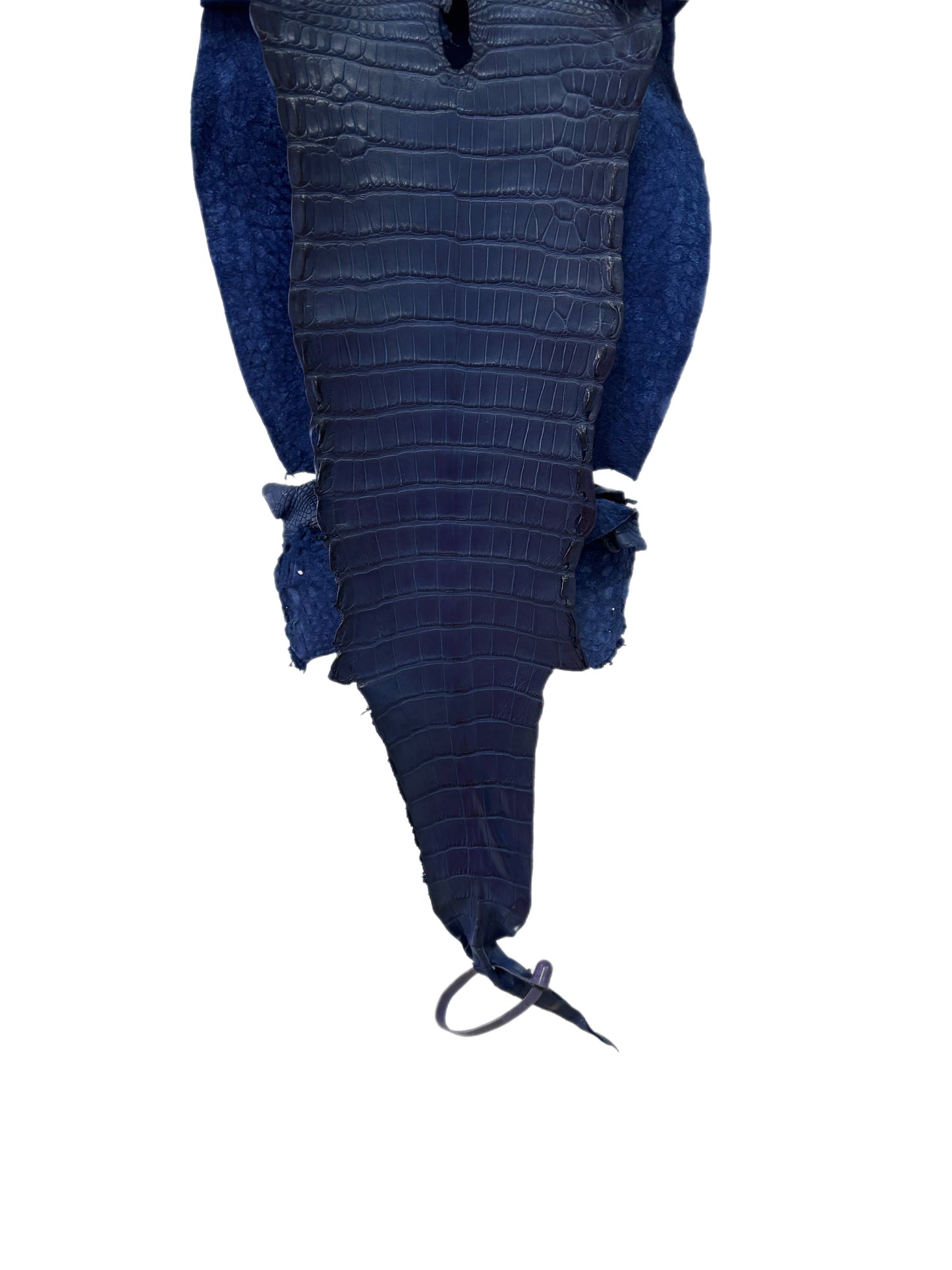 26 cm Grade 1/2 Admiral Blue Matte Farm-Raised American Alligator Leather - Tag: LA21-0328783