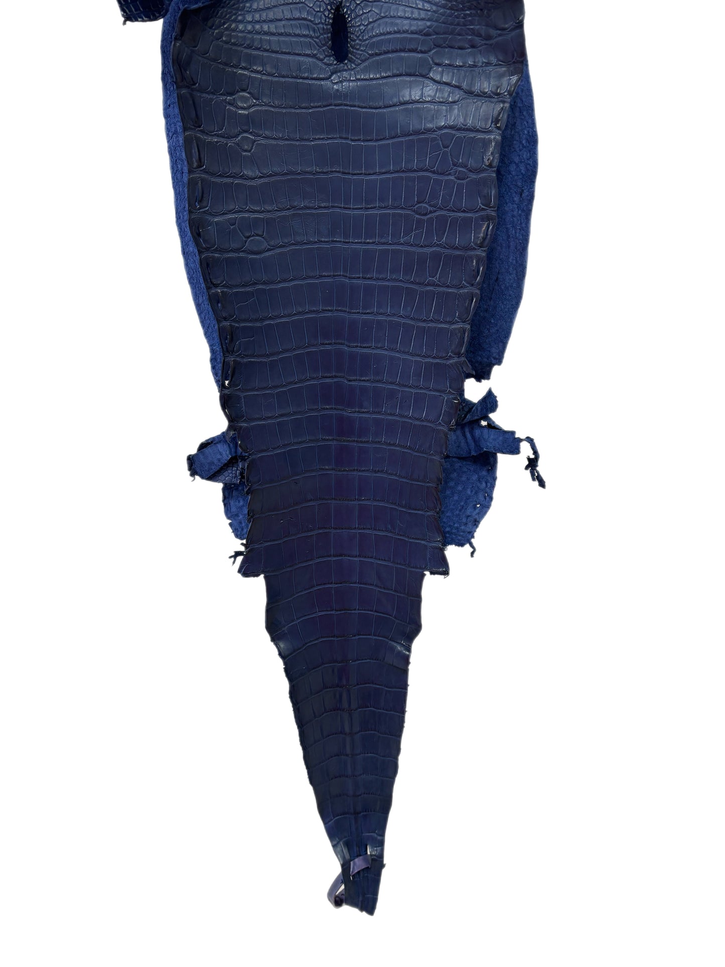 27 cm Grade 1/2 Admiral Blue Matte Farm-Raised American Alligator Leather - Tag: LA21-0308129