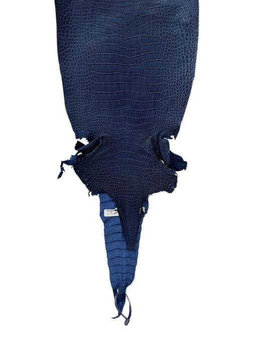 27 cm Grade 1/2 Admiral Blue Matte Farm-Raised American Alligator Leather - Tag: LA21-0308129