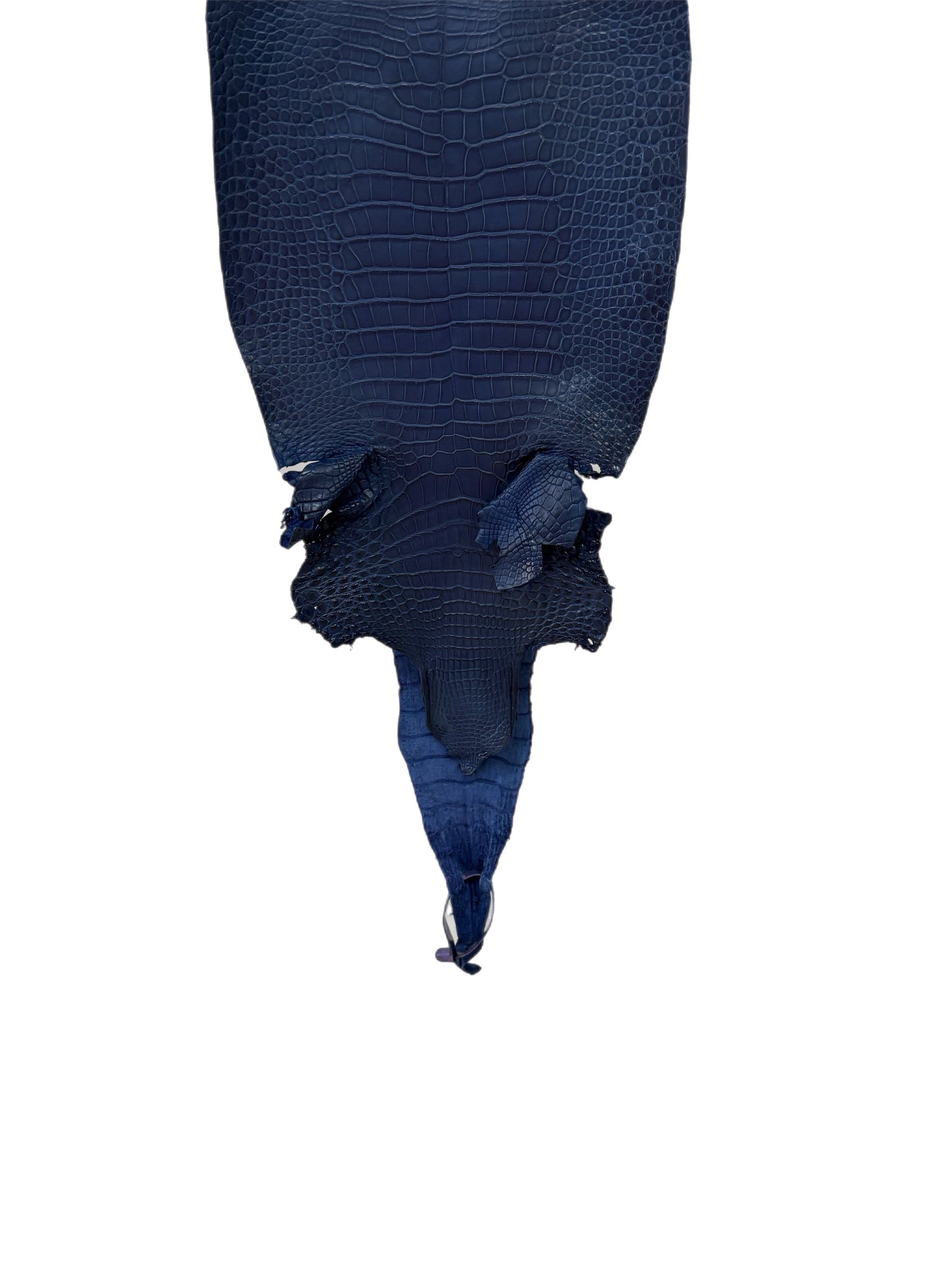 27 cm Grade 2/3 Admiral Blue Matte Farm-Raised American Alligator Leather - Tag: LA21-0328773