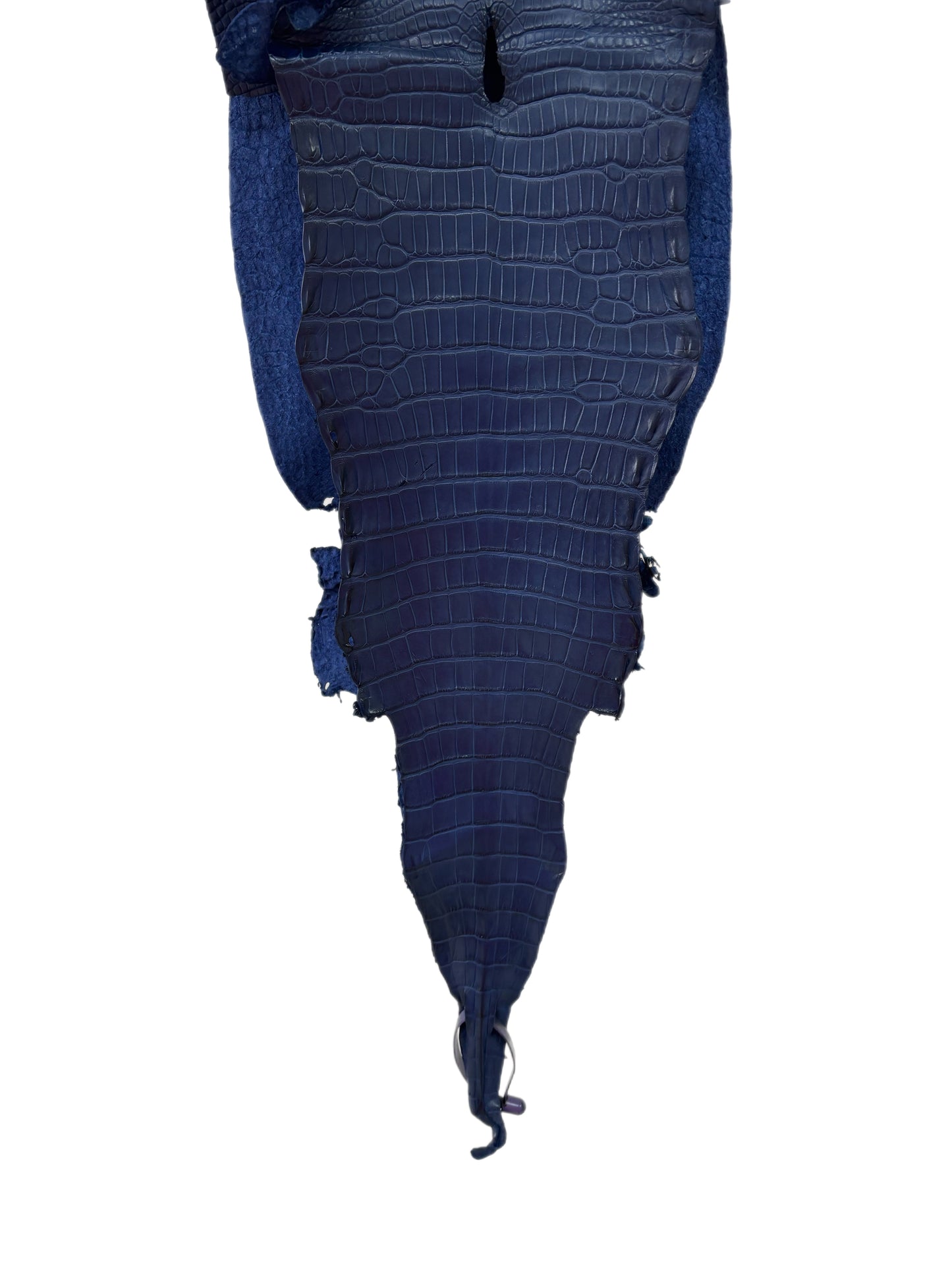 27 cm Grade 2/3 Admiral Blue Matte Farm-Raised American Alligator Leather - Tag: LA21-0328773