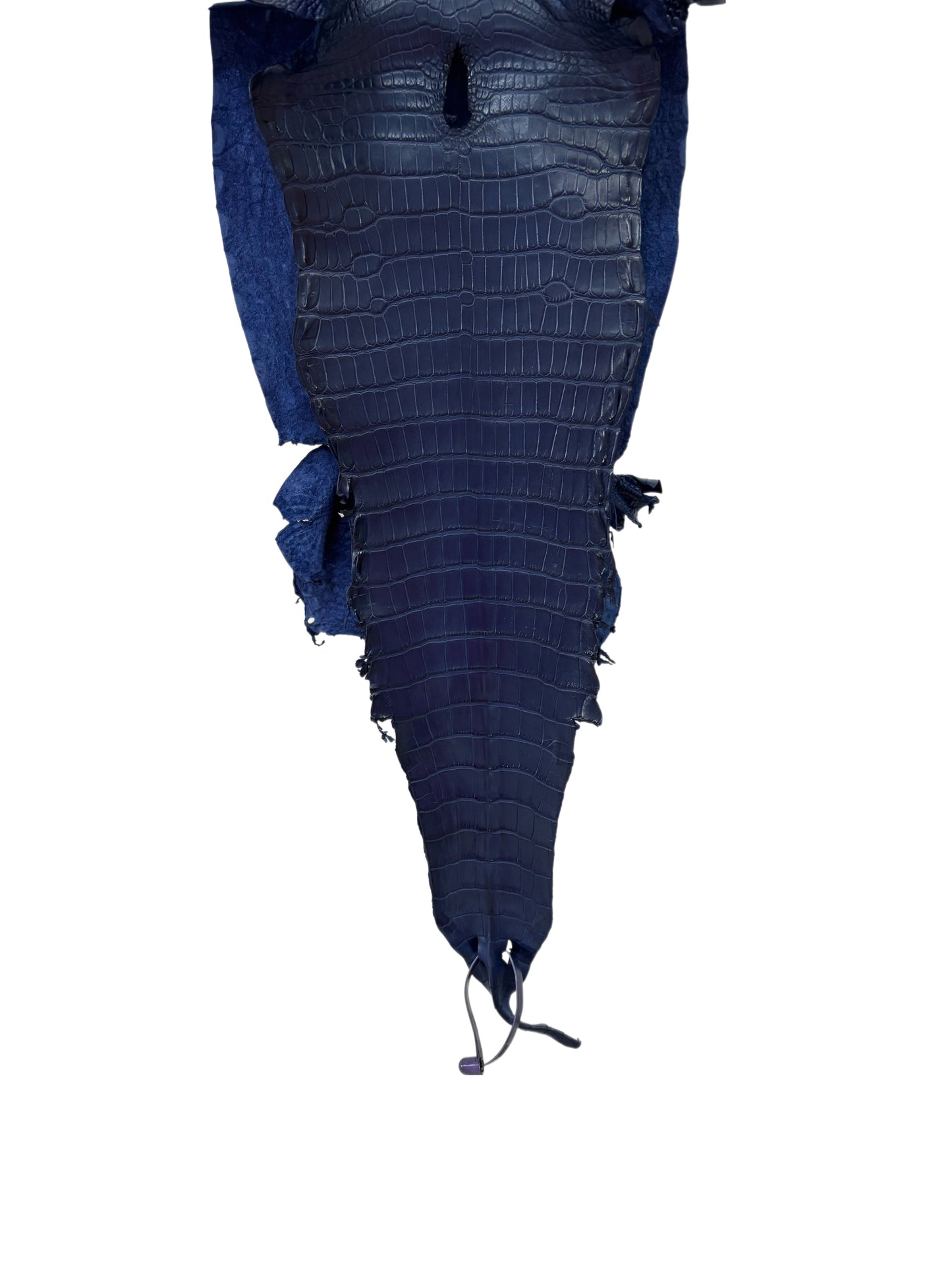 26 cm Grade 1/2 Admiral Blue Matte Farm-Raised American Alligator Leather - Tag: LA21-0308144