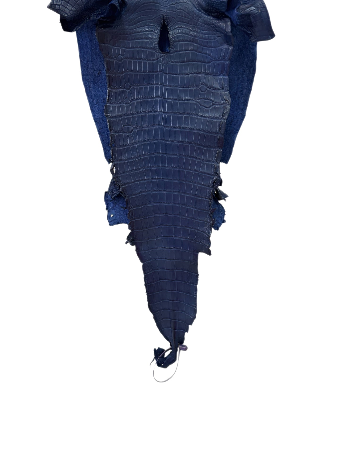 28 cm Grade 2/3 Admiral Blue Matte Farm-Raised American Alligator Leather - Tag: LA21-0308119