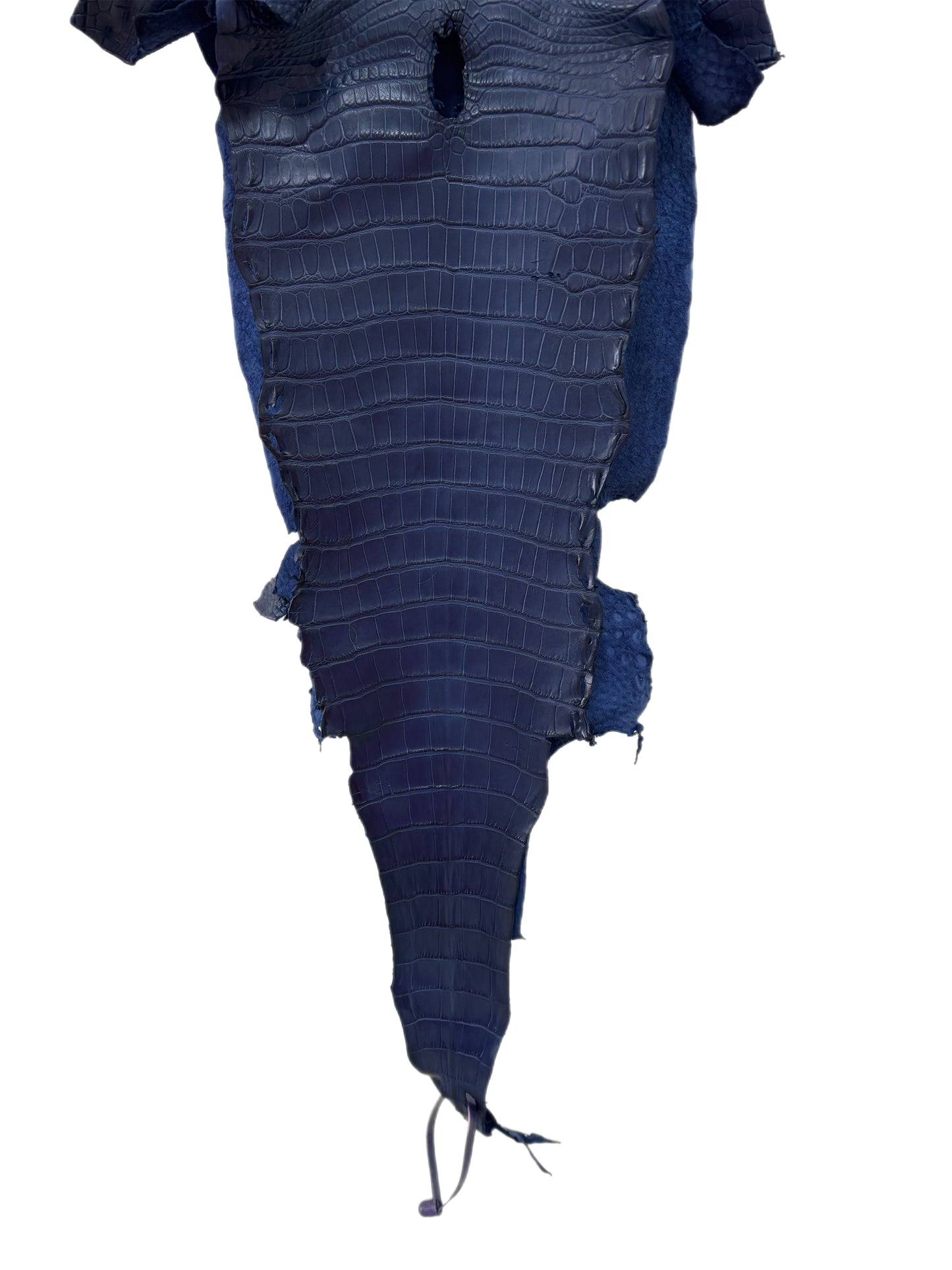 29 cm Grade 3/4 Admiral Blue Matte Farm-Raised American Alligator Leather - Tag: LA21-0308180