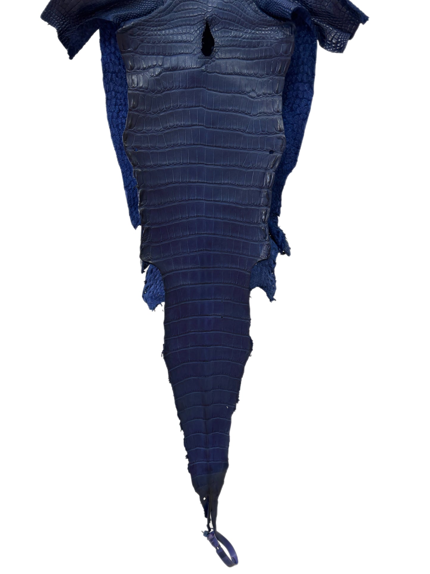 25 cm Grade 2/3 Admiral Blue Matte Farm-Raised American Alligator Leather - Tag: LA24-0228850