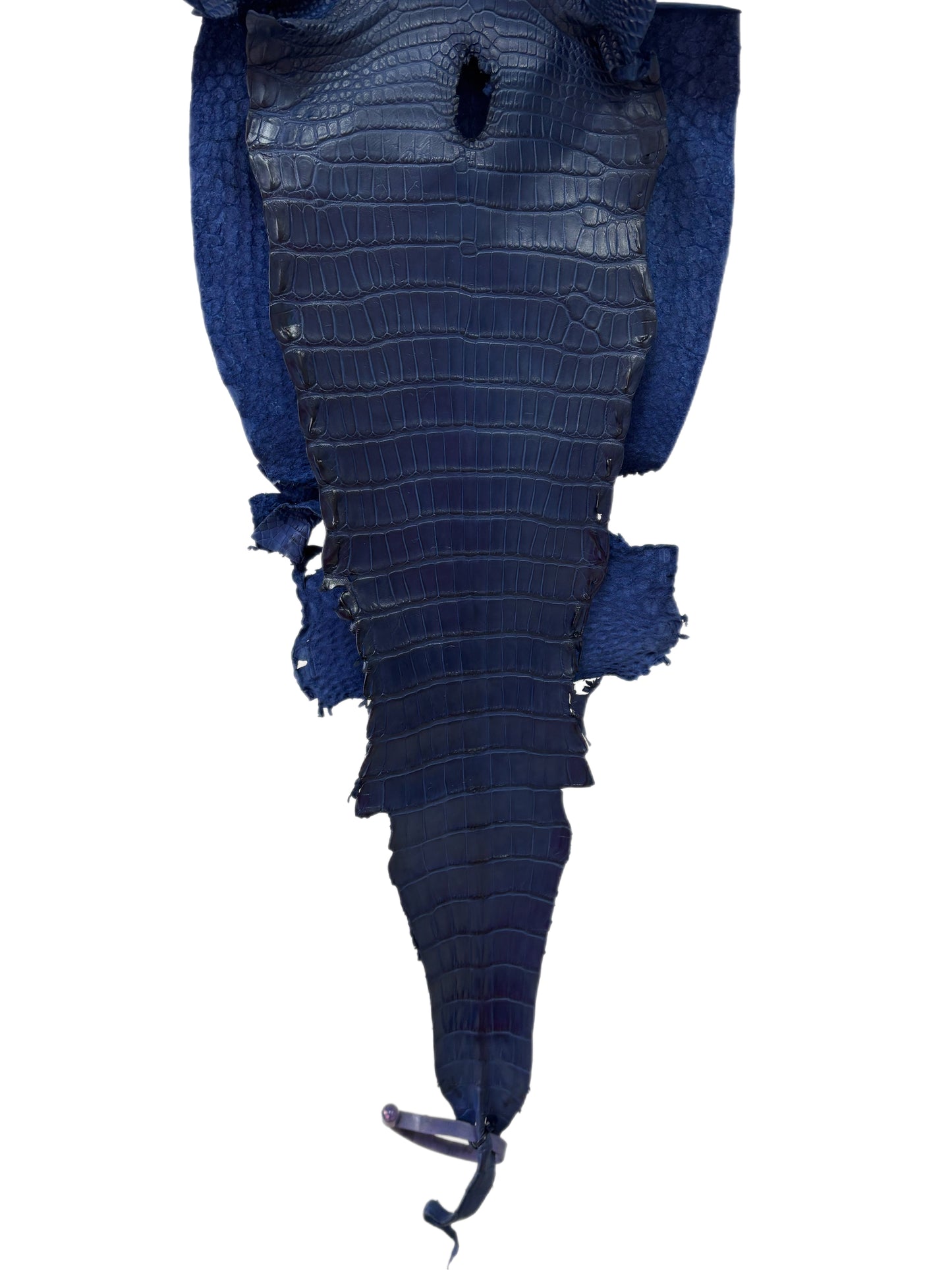 27 cm Grade 2/3 Admiral Blue Matte Farm-Raised American Alligator Leather - Tag: LA21-0328702