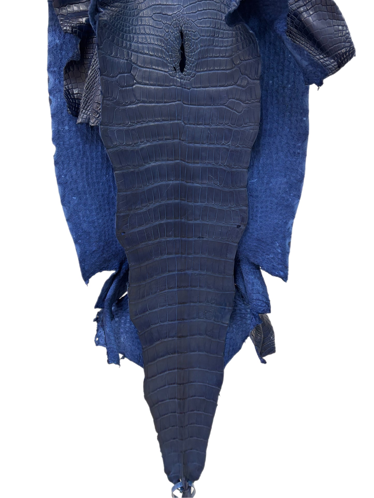 42 cm Grade 2/3 Admiral Blue Matte Wild American Alligator Leather - Tag: LA23-0034183