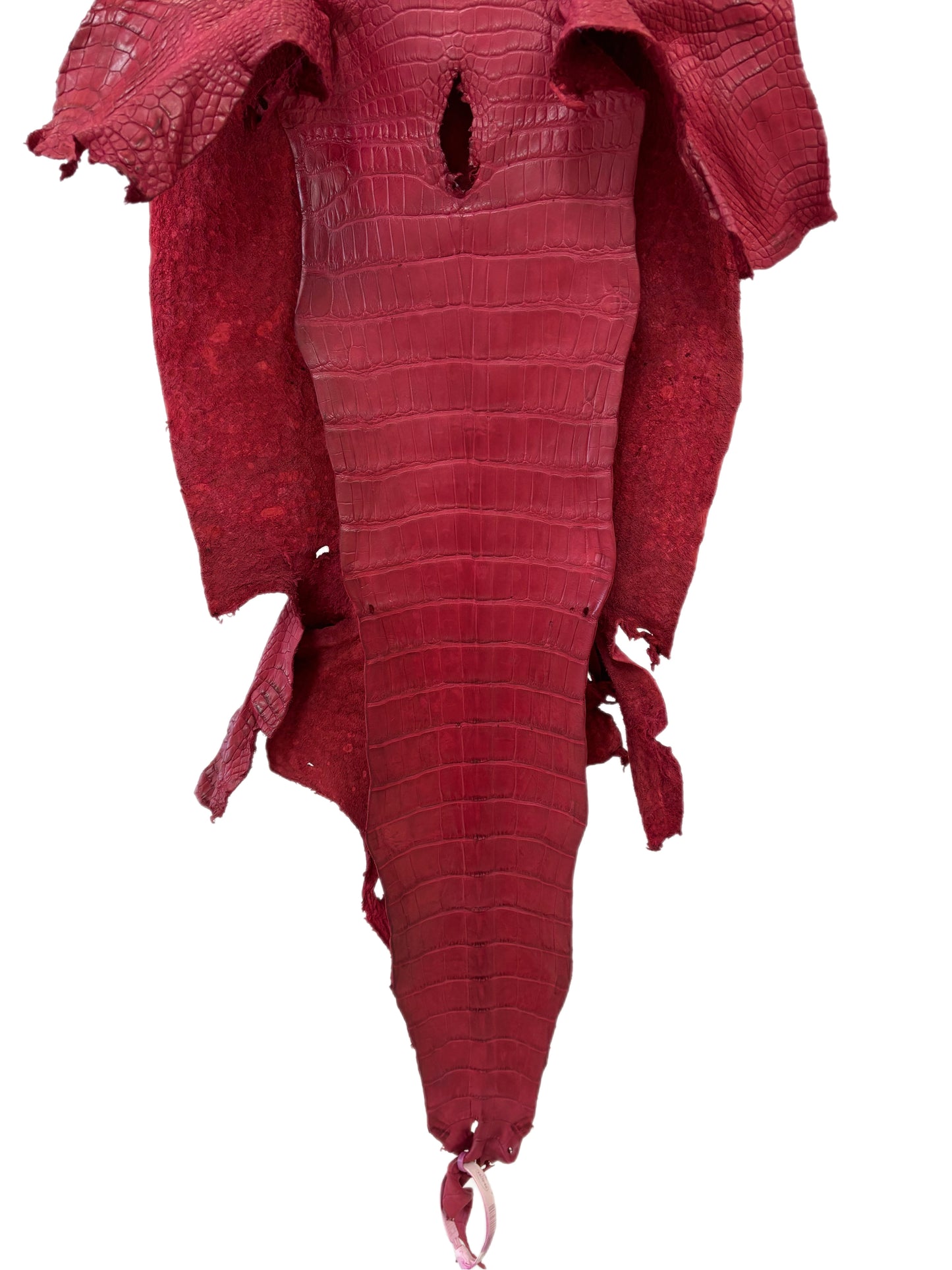 36 cm Grade 3/4 Scarlet Matte Wild American Alligator Leather - Tag: LA23-0034061