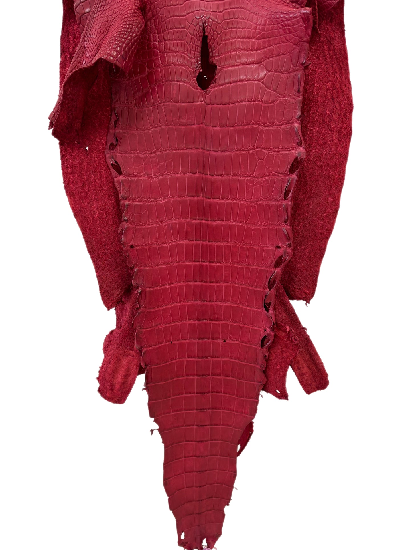 41 cm Grade 2/3 Scarlet Matte Wild American Alligator Leather - Tag: LA23-0048243