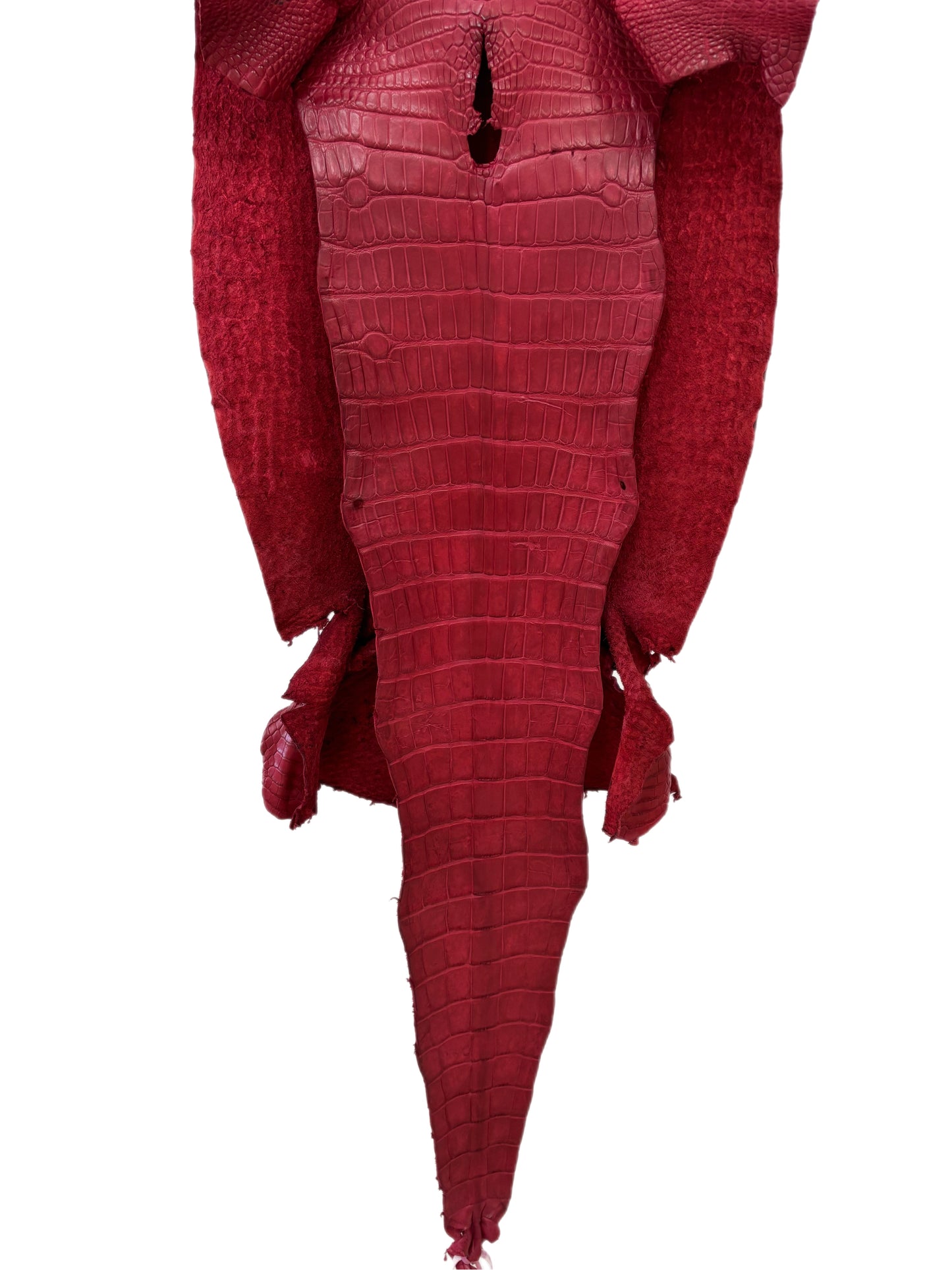 42 cm Grade 3/4 Scarlet Matte Wild American Alligator Leather - Tag: LA23-0027784