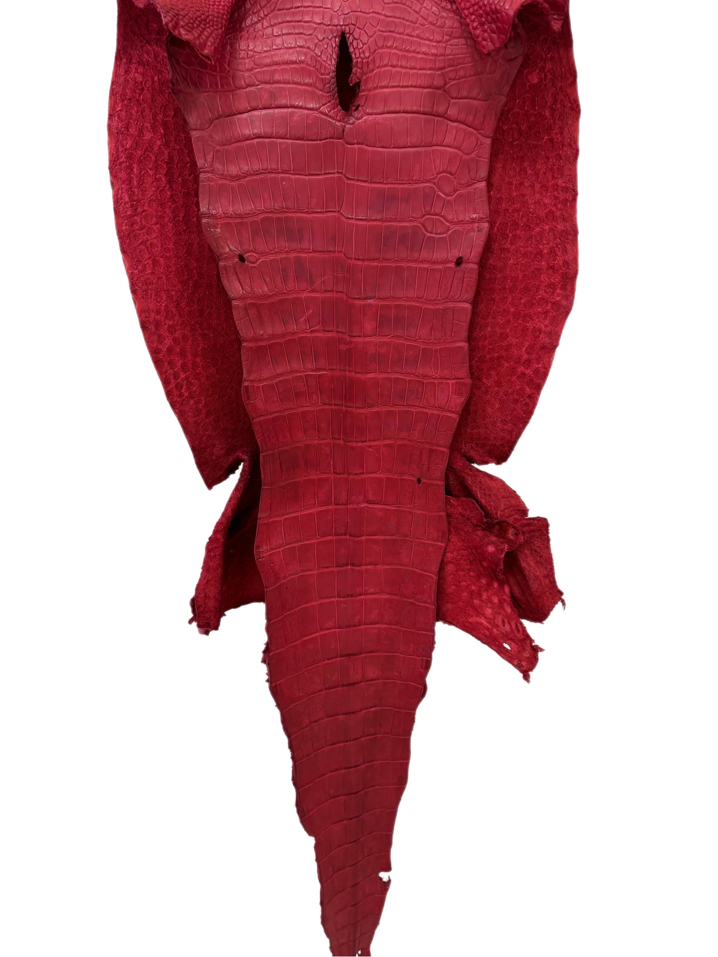 43 cm Grade 3/4 Scarlet Matte Wild American Alligator Leather - Tag: LA23-0030780