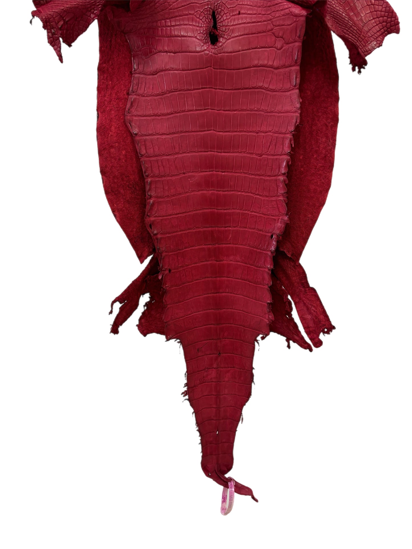 36 cm Grade 3/4 Scarlet Matte Wild American Alligator Leather - Tag: LA23-0050609