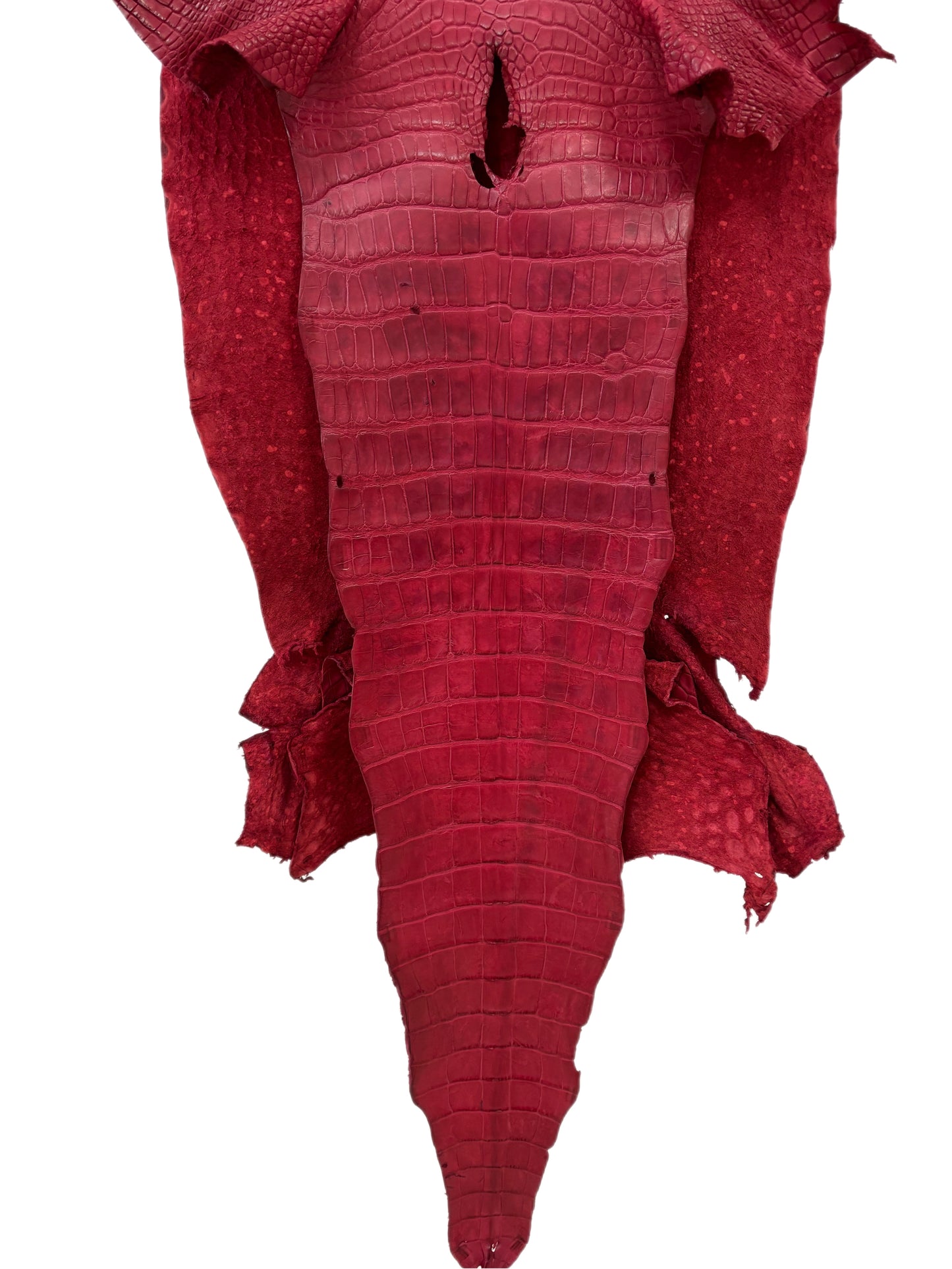 42 cm Grade 4/5 Scarlet Matte Wild American Alligator Leather - Tag: LA23-0026589