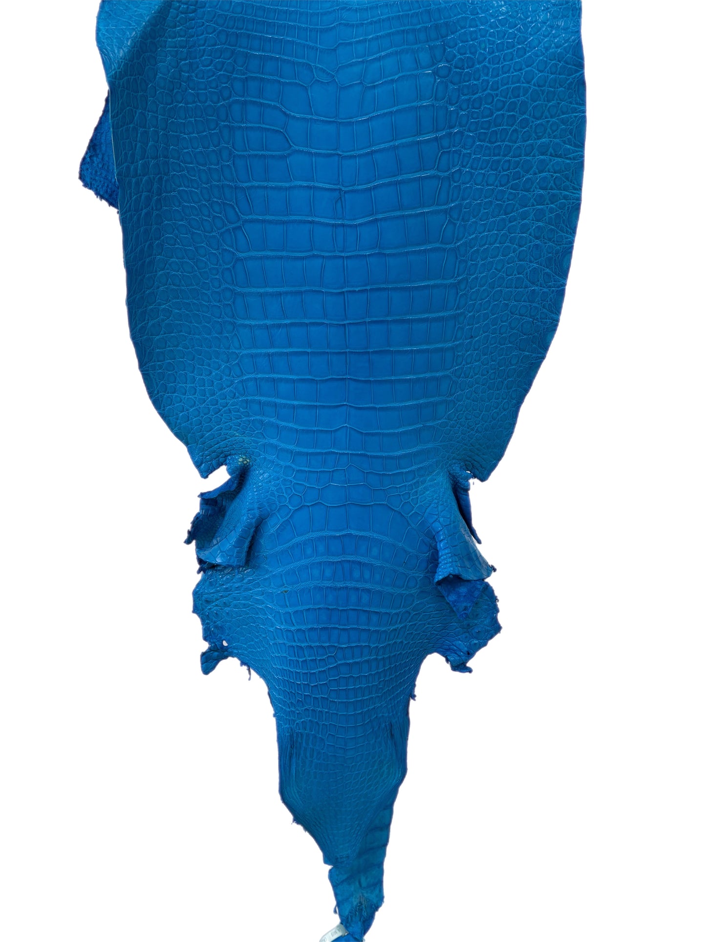 42 cm Grade 2/3 Ultramarine Matte Wild American Alligator Leather - Tag: LA23-0003483