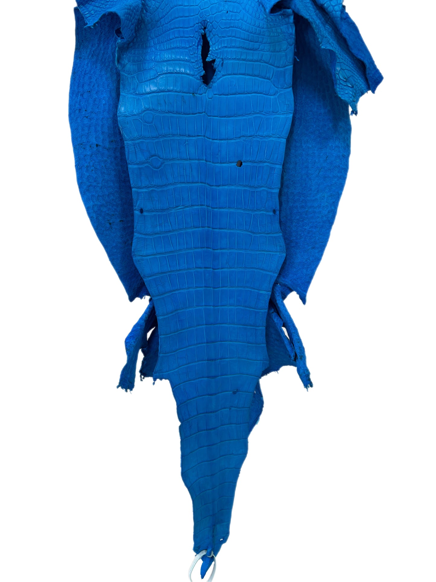 41 cm Grade 2/3 Ultramarine Matte Wild American Alligator Leather - Tag: LA23-0003142