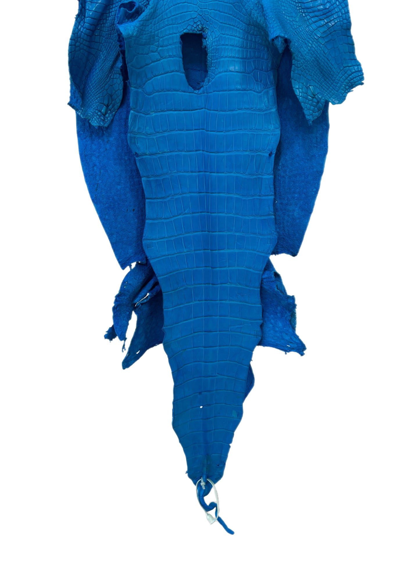 38 cm Grade 3/4 Ultramarine Matte Wild American Alligator Leather - Tag: LA23-0024503