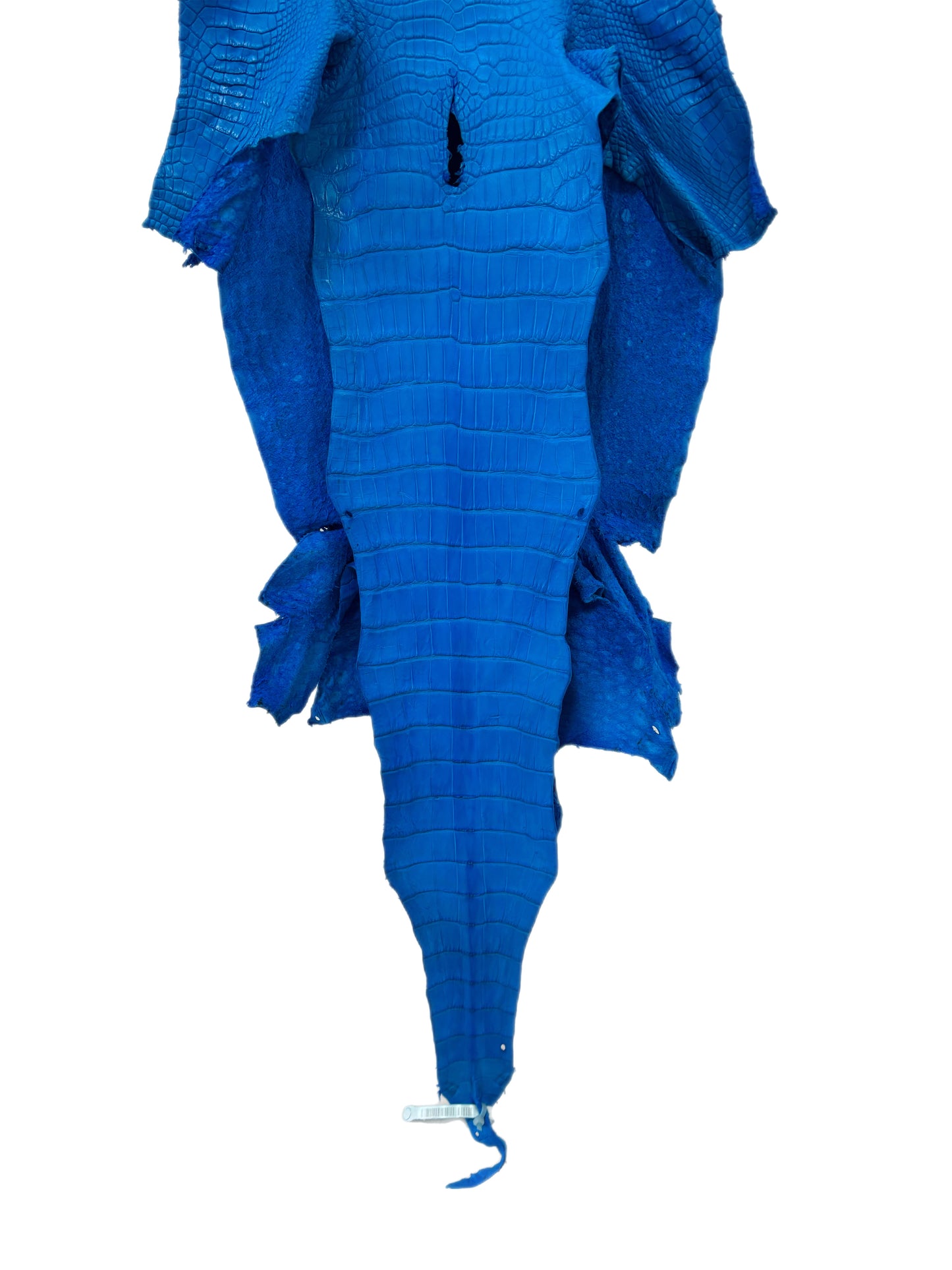 34 cm Grade 2/3 Ultramarine Matte Wild American Alligator Leather - Tag: LA23-0033996