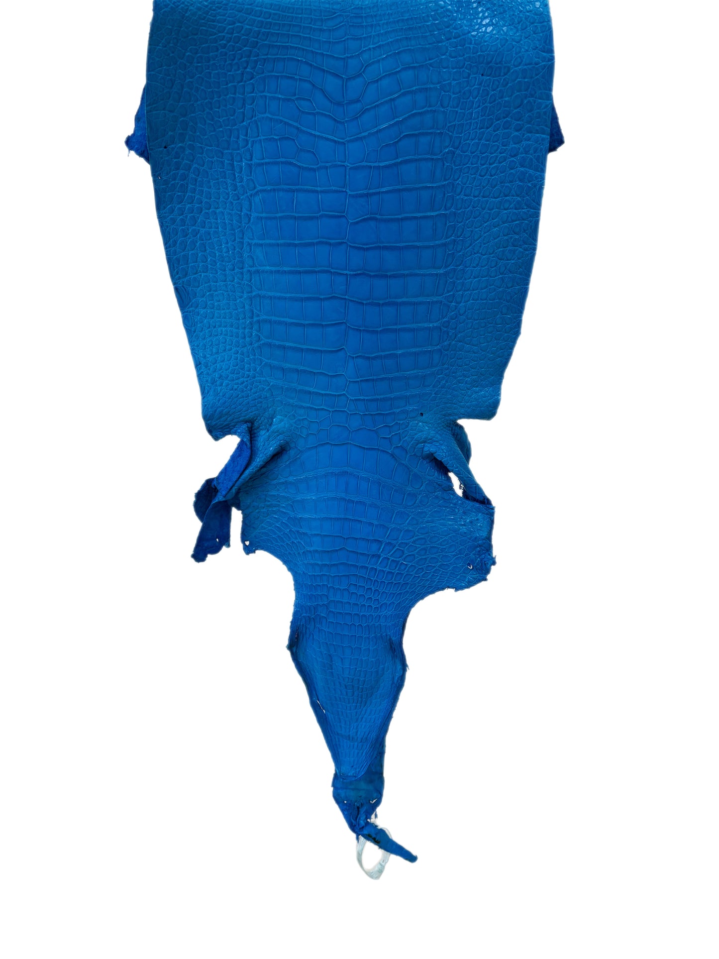 34 cm Grade 2/3 Ultramarine Matte Wild American Alligator Leather - Tag: LA23-0002851