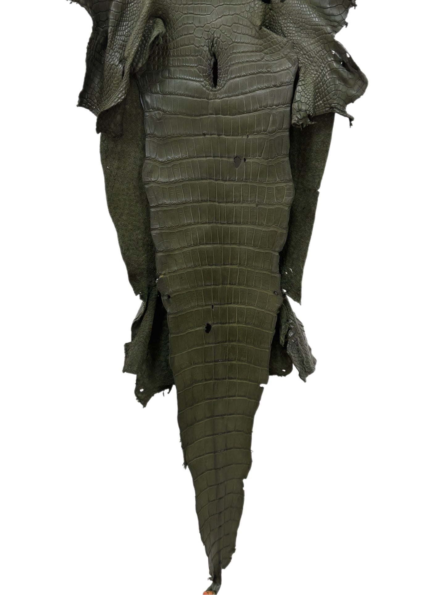 33 cm Grade 2/3 Olive Matte Wild American Alligator Leather - Tag: MS24-0000653