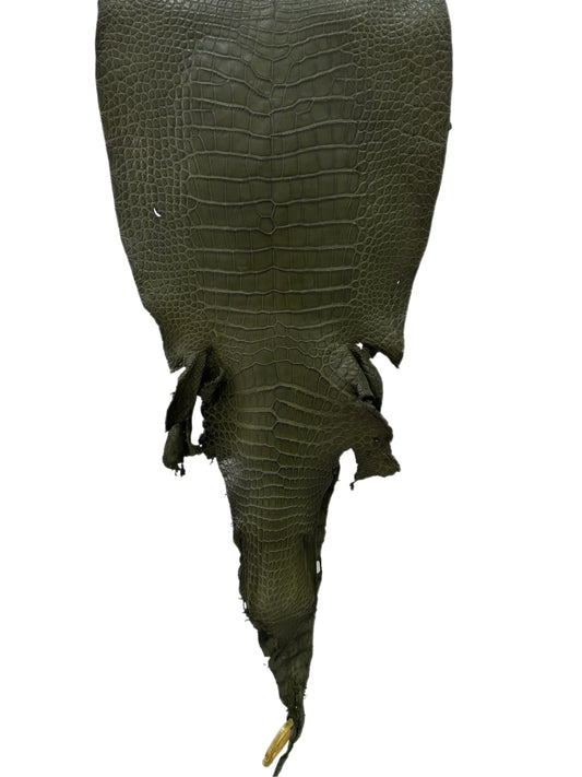 35 cm Grade 2/3 Olive Matte Wild American Alligator Leather - Tag: LA23-0005131
