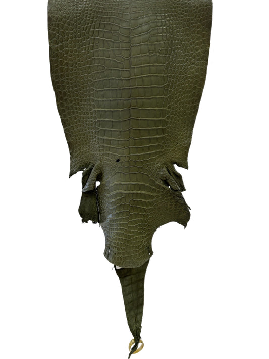 34 cm Grade 2/3 Olive Matte Wild American Alligator Leather - Tag: LA23-0022135